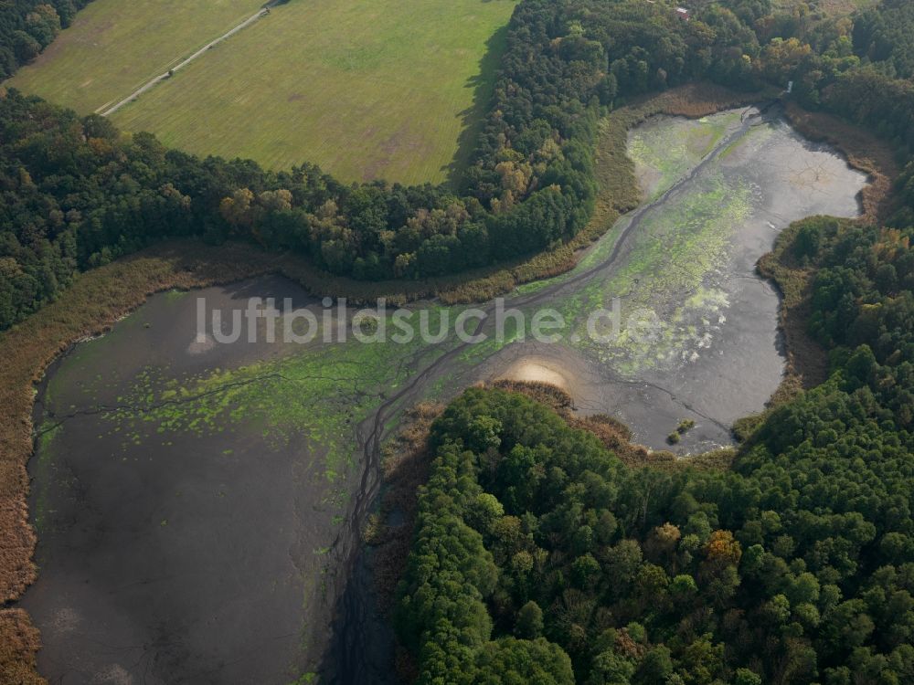 Lieberose von oben - Der Dammer Teich in Lieberose im Bundesland Brandenburg