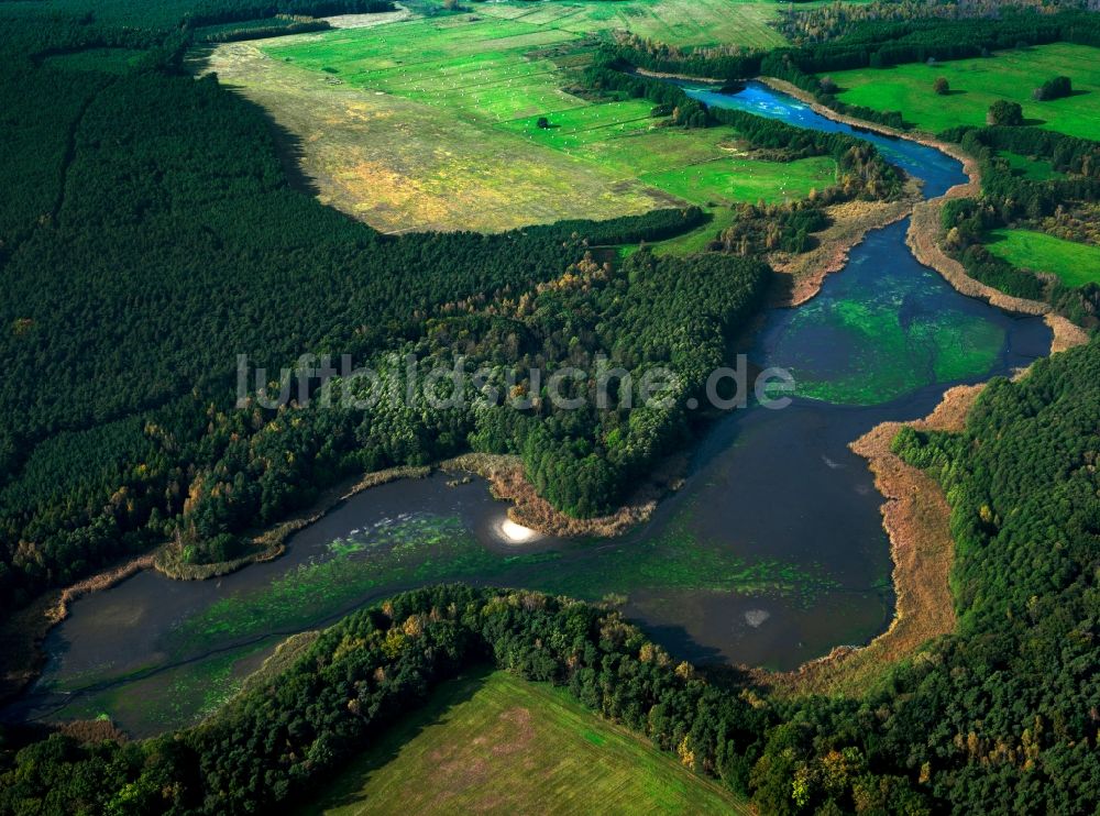 Lieberose aus der Vogelperspektive: Der Dammer Teich in Lieberose im Bundesland Brandenburg