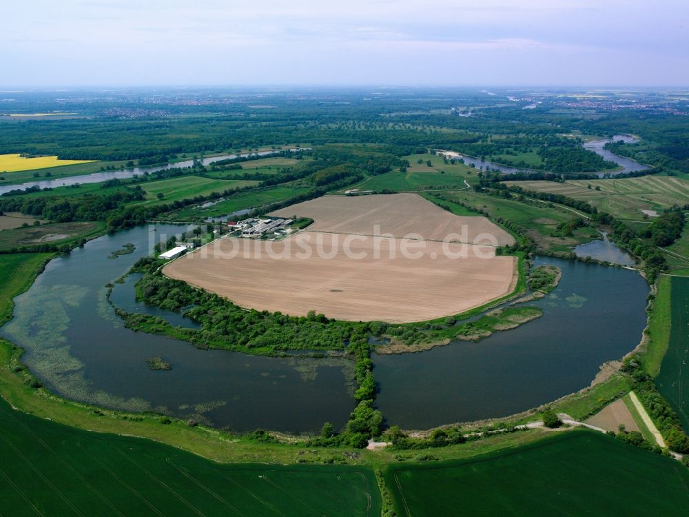 Luftbild Coswig - Der Fluss Elbe und die Alte Elbe in Coswig im Bundesland Sachsen-Anhalt