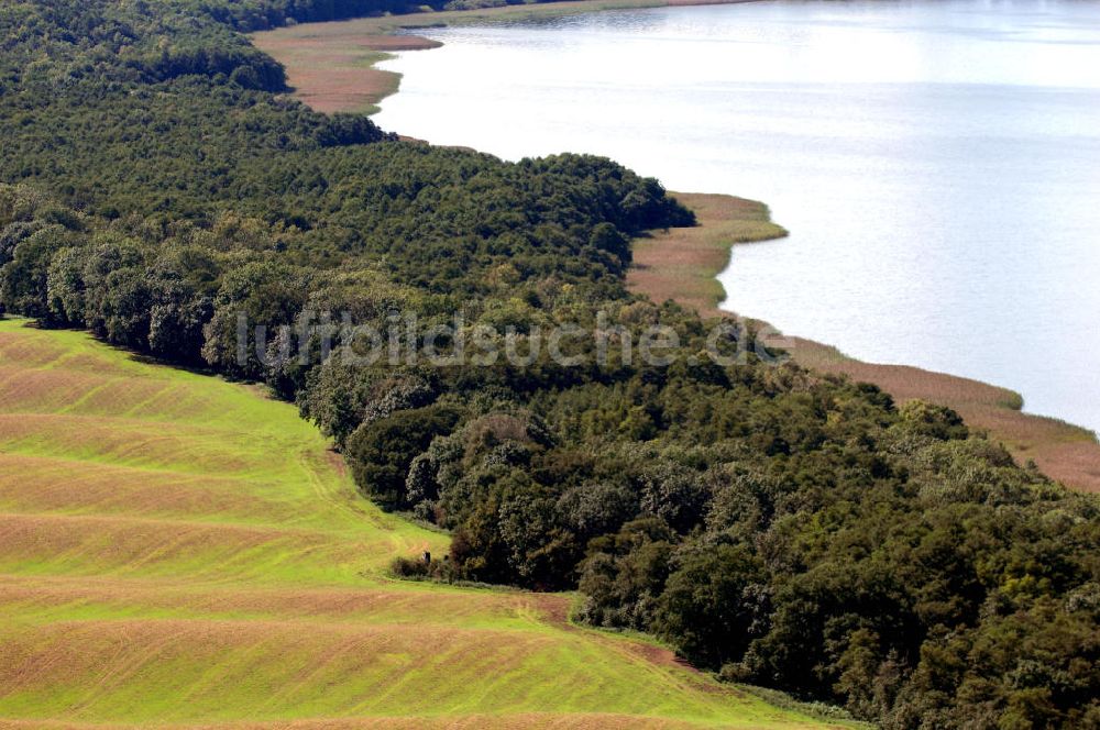 Basedow aus der Vogelperspektive: der Malchiner See mit Wald und Feld