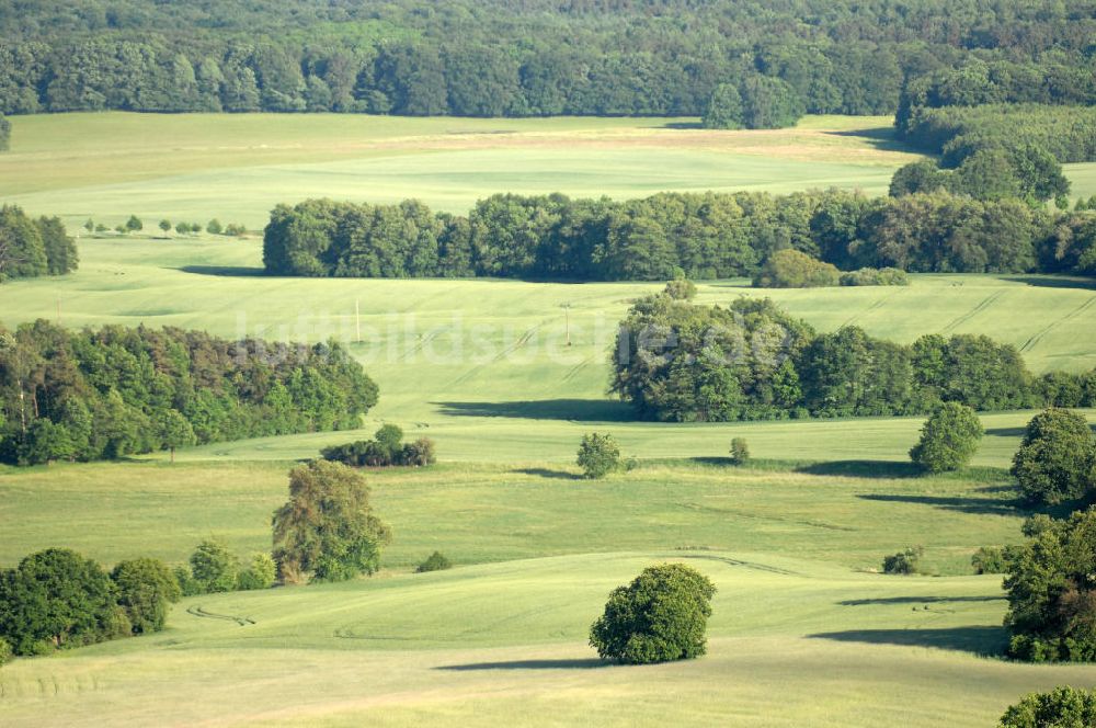 Ankershagen aus der Vogelperspektive: Der Müritz-Nationalpark bei Ankershagen