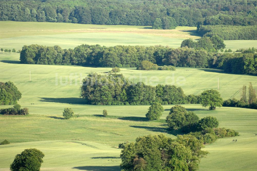 Luftbild Ankershagen - Der Müritz-Nationalpark bei Ankershagen