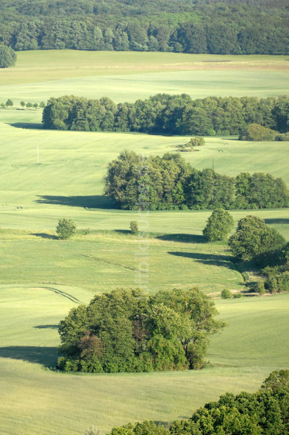 Ankershagen von oben - Der Müritz-Nationalpark bei Ankershagen