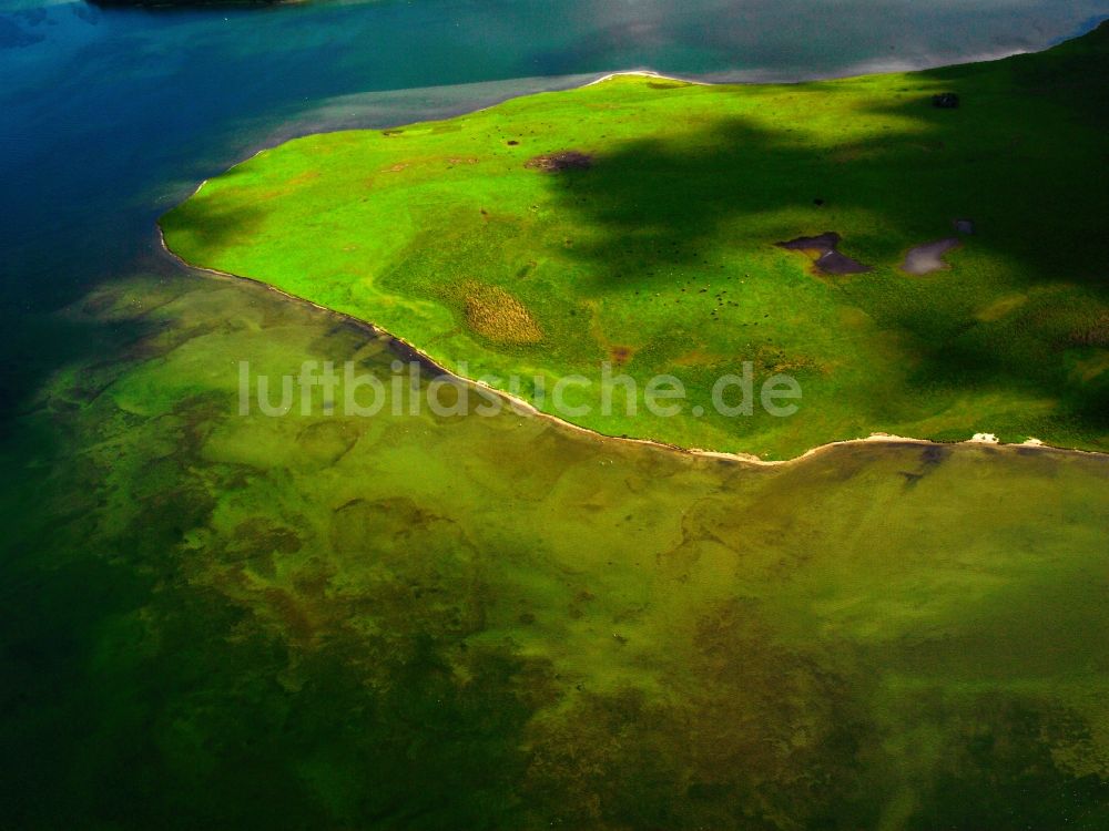 Waren (Müritz) von oben - Der Müritz-Nationalpark bei Waren ( Müritz ) im Bundesland Mecklenburg-Vorpommern