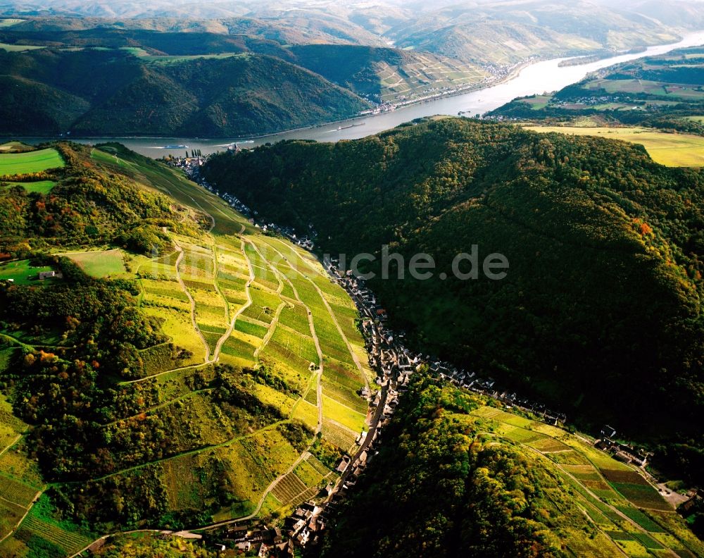 Luftbild Bacharach - Der Ortsteil Steeg im Münzbachtal in Bacharach im Bundesland Rheinland-Pfalz