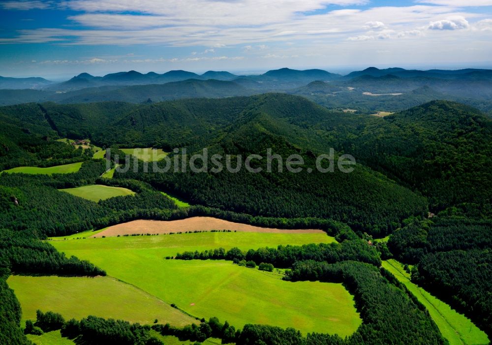 Luftaufnahme Schindhard - Der Pfälzerwald in der Ortsgemeinde Schindhard im Bundesland Rheinland-Pfalz