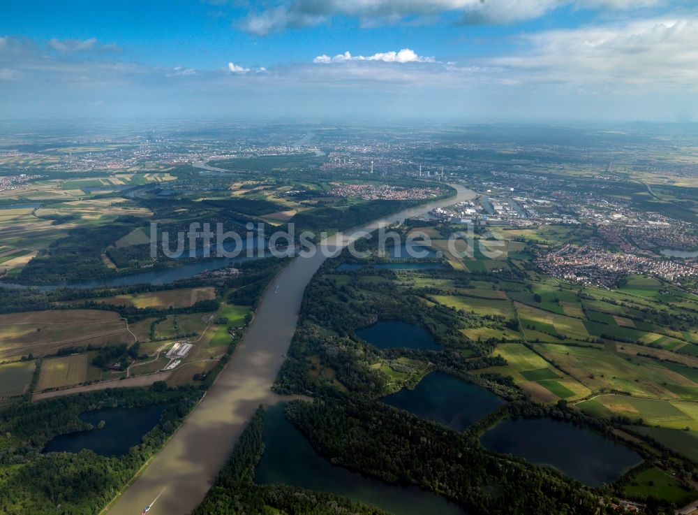 Mannheim von oben - Der Rhein bei Mannheim im Bundesland Baden-Württemberg