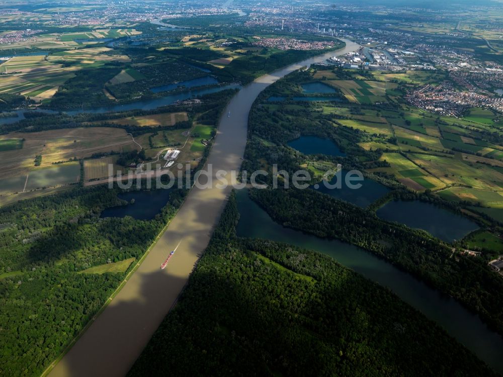 Mannheim aus der Vogelperspektive: Der Rhein bei Mannheim im Bundesland Baden-Württemberg