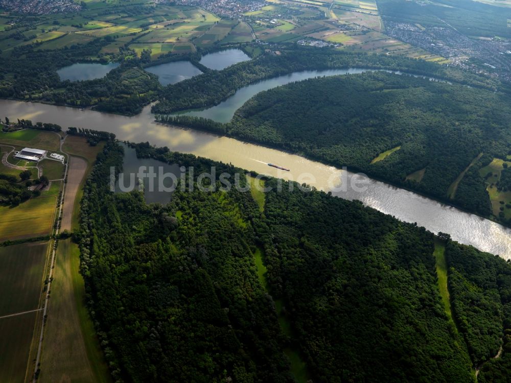 Luftbild Mannheim - Der Rhein bei Mannheim im Bundesland Baden-Württemberg