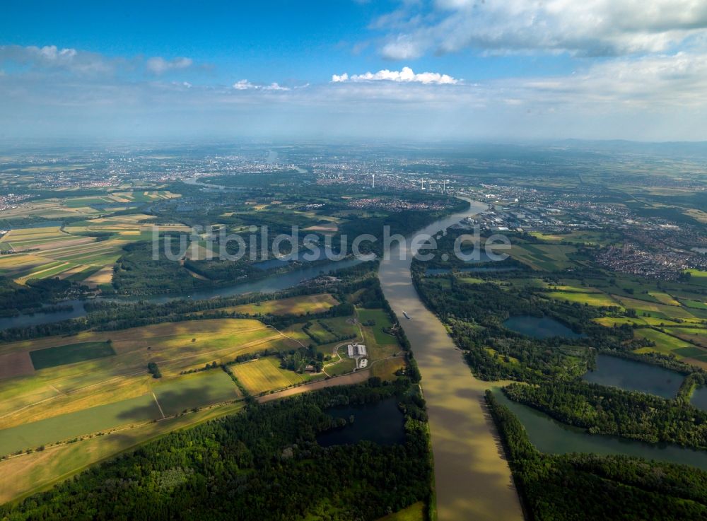 Mannheim von oben - Der Rhein bei Mannheim im Bundesland Baden-Württemberg