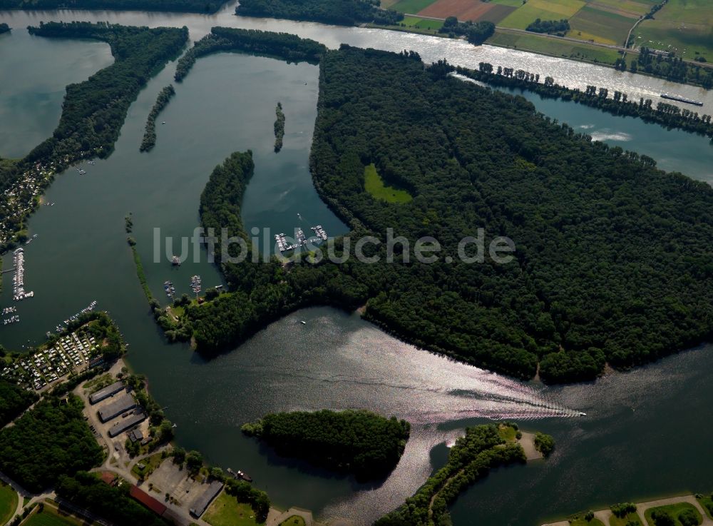 Luftaufnahme Speyer - Der Rhein und seine Umgebung im Stadtgebiet von Speyer im Bundesland Rheinland-Pfalz