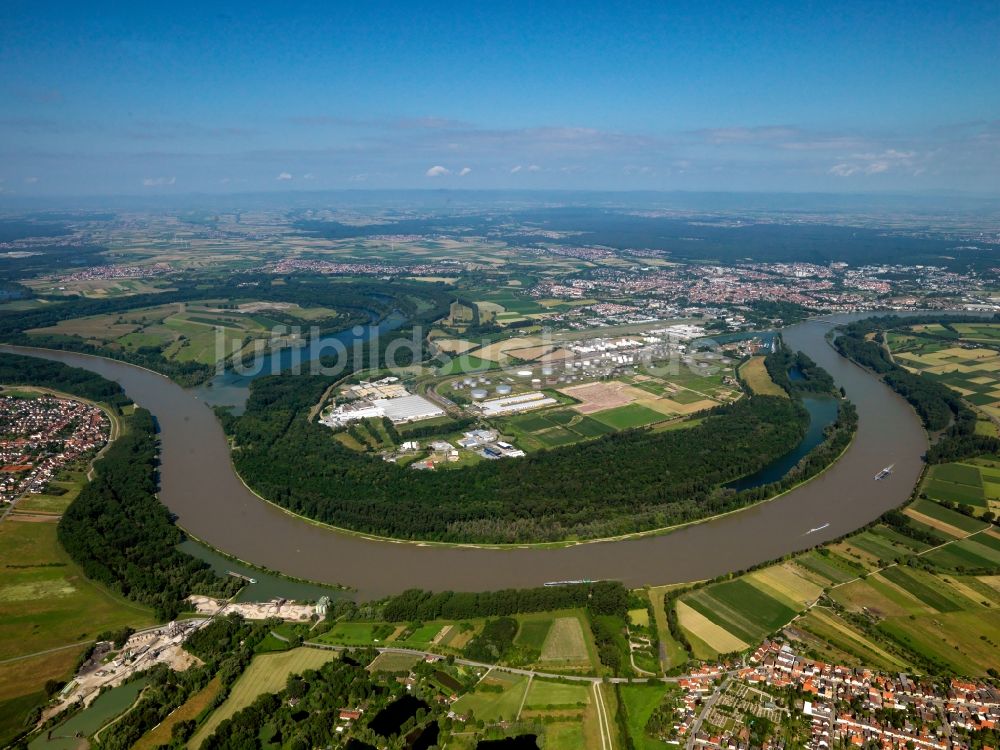 Speyer von oben - Der Rhein und seine Umgebung im Stadtgebiet von Speyer im Bundesland Rheinland-Pfalz