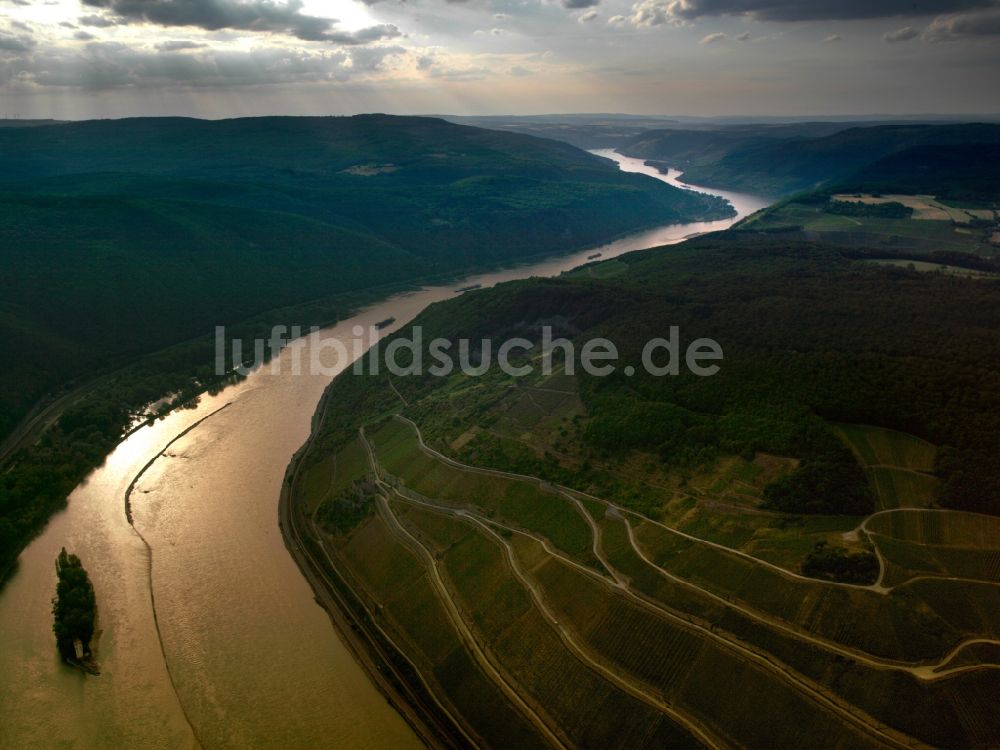 Rüdesheim am Rhein von oben - Der Rhein im Stadtteil Assmannshausen in Rüdesheim am Rhein im Bundesland Hessen