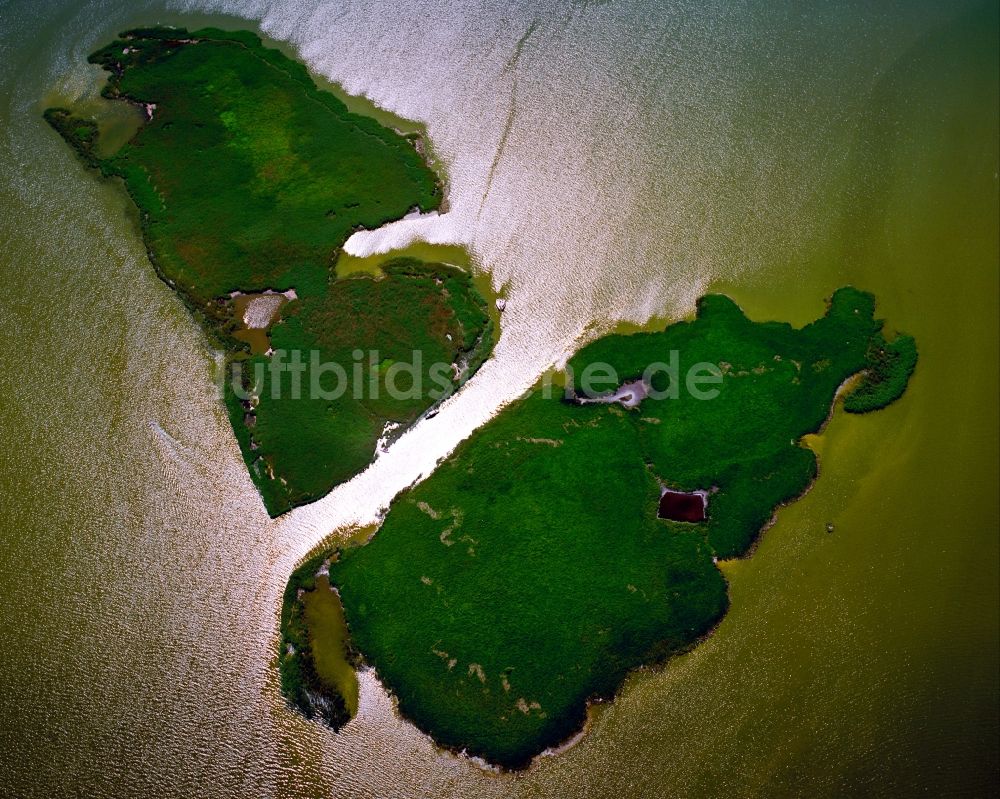 Luftaufnahme Ribnitz-Damgarten - Der Saaler Bodden bei Ribnitz-Damgarten im Bundesland Mecklenburg-Vorpommern