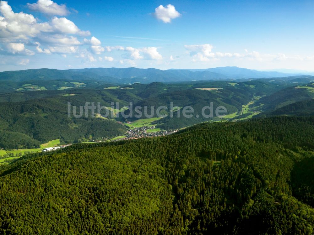 Haslach aus der Vogelperspektive: Der Schwarzwald in Haslach im Bundesland Baden-Württemberg