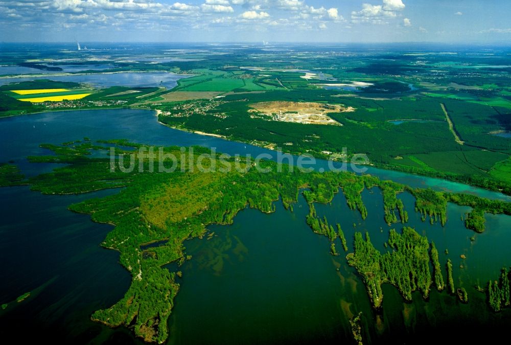 Senftenberg aus der Vogelperspektive: Der Senftenberger See im Lausitzer Seenland im Bundesland Brandenburg