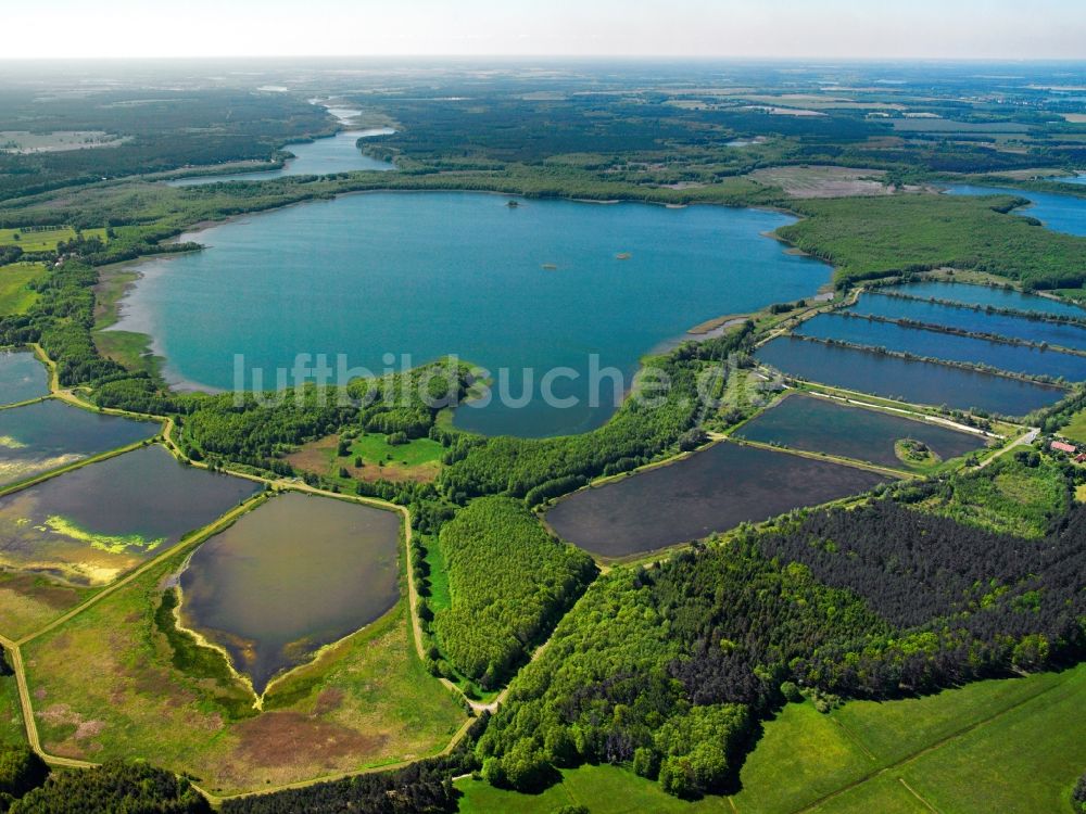 Rechlin von oben - Der Woterfitzsee in Rechlin im Bundesland Mecklenburg-Vorpommern