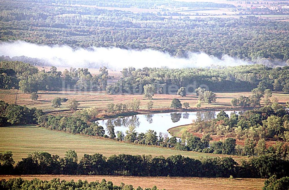 Luftaufnahme Dessau / Sachsen-Anhalt - Dessau / Sachsen-Anhalt Blick auf den Elbverlauf, der noch mit Frühnebel bedeckt ist, nördlich von Dessau 03