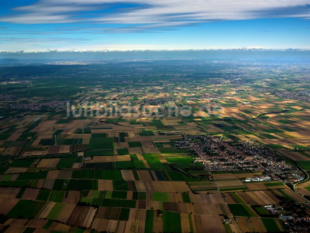 Luftaufnahme Neustadt an der Weinstraße - Die Landschaft um Neustadt an der Weinstraße im Bundesland Rheinland-Pfalz