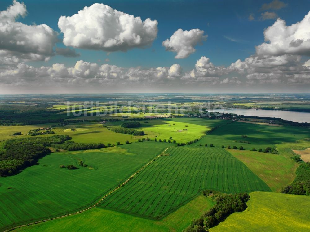 Luftaufnahme Waren (Müritz) - Die Müritz bei Waren (Müritz) im Bundesland Mecklenburg-Vorpommern