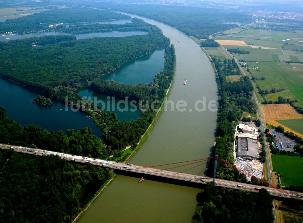 Speyer aus der Vogelperspektive: Die Rheinbrücke mit der Autobahn A61 über dem Rhein in Speyer im Bundesland Rheinland-Pfalz