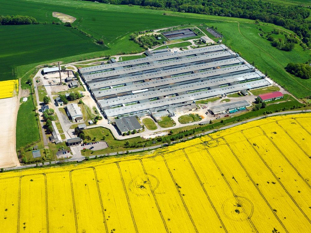 Thiemendorf von oben - Die Schweinezuchtanlage Gut Thiemendorf in Thiemendorf in der Gemeinde Heideland im Bundesland Thüringen