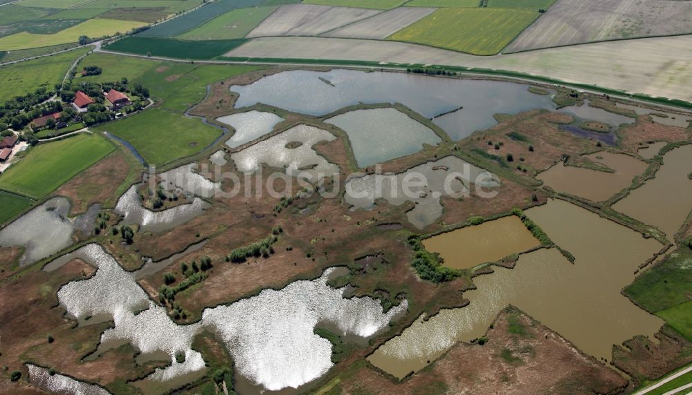 Luftbild Krummhörn - Die Seen beim Ort Hauen in der Gemeinde Krummhörn im Bundesland Niedersachsen