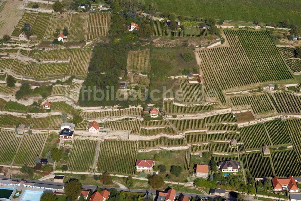 Freyburg/Unstrut von oben - Die Weinberge bei Freyburg/Unstrut