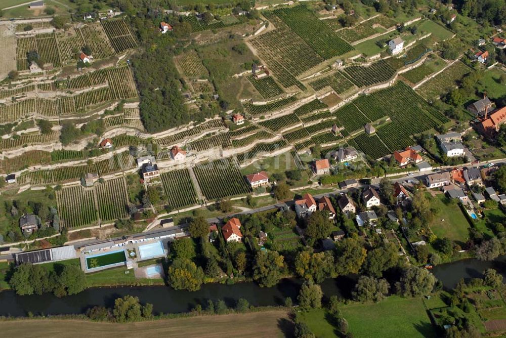 Luftbild Freyburg/Unstrut - Die Weinberge bei Freyburg/Unstrut