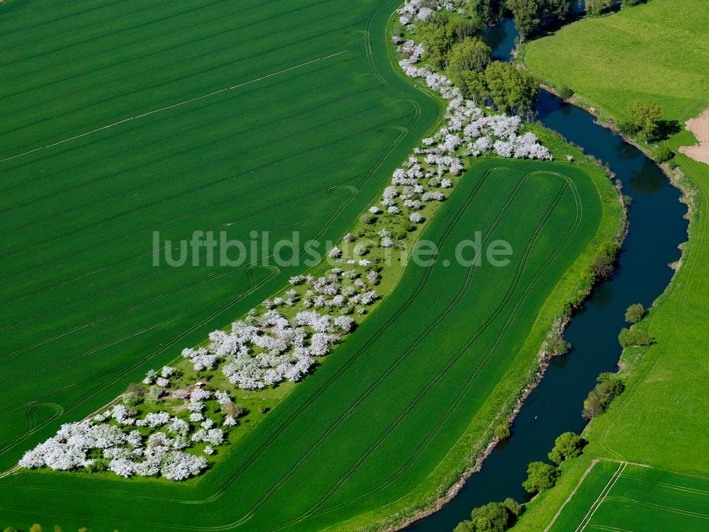 Creuzburg von oben - Die Werra am südlichen Stadtrand von Creuzburg im Bundesland Thüringen