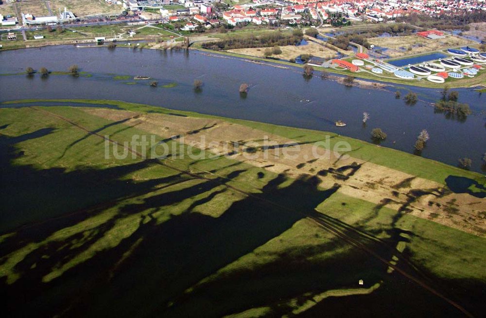 Luftaufnahme Coswig - Die Zentralkläranlage in Coswig an der Elbe