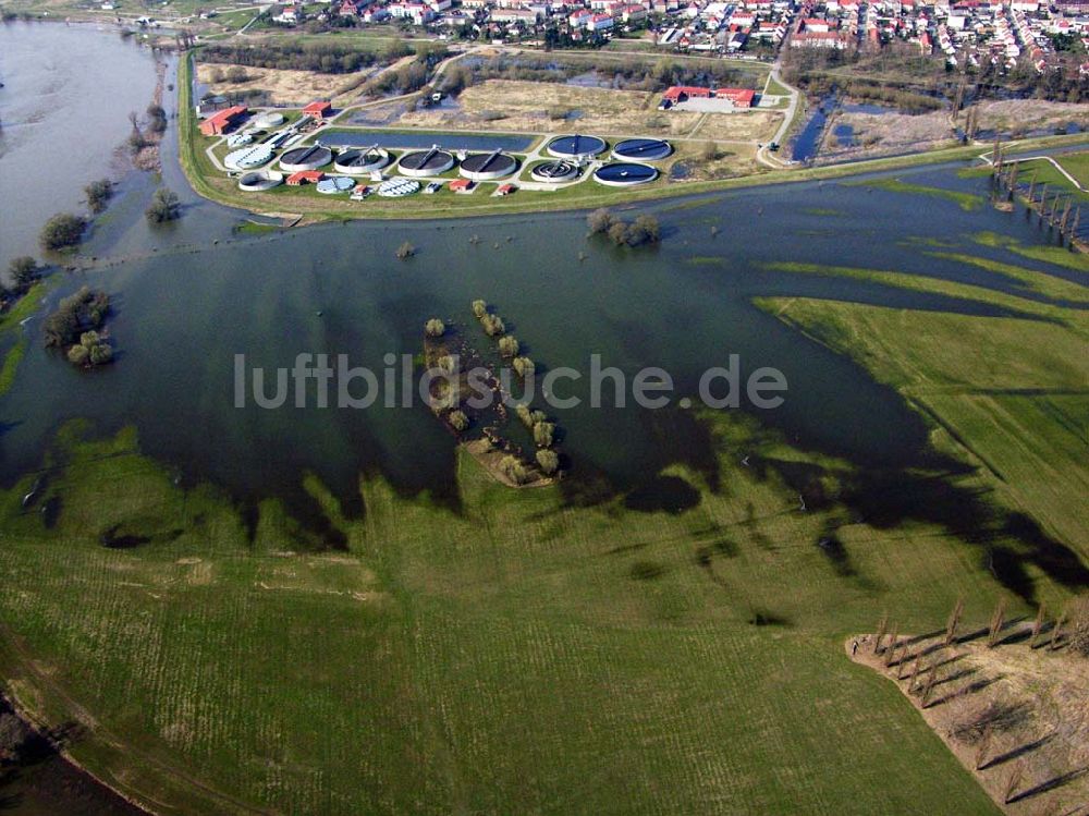 Coswig aus der Vogelperspektive: Die Zentralkläranlage in Coswig an der Elbe