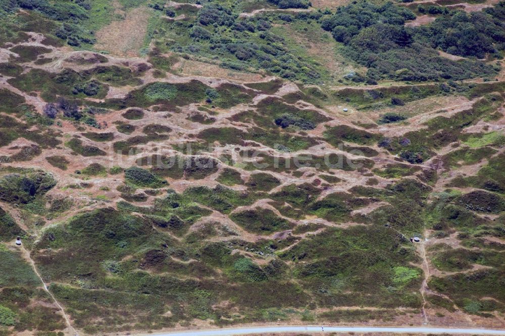 Luftaufnahme Langeoog - Dünenlandschaft auf der Insel Langeoog im Bundesland Niedersachsen