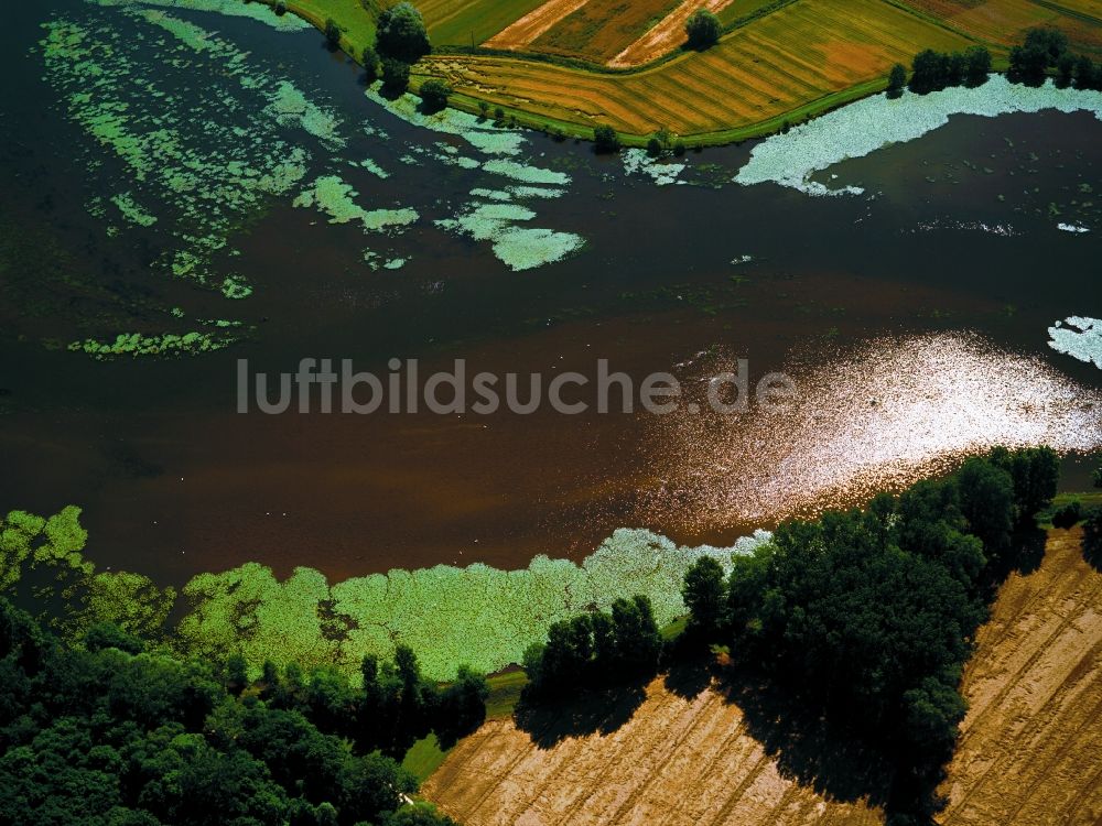 Luftaufnahme Oberdischingen - Donau bei Oberdischingen im Bundesland Baden-Württemberg