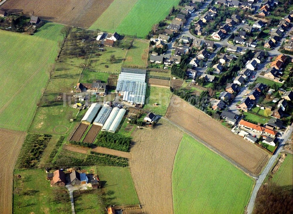 Alpsray von oben - Dorf - Ansicht von Alpsray im Bundesland Nordrhein-Westfalen