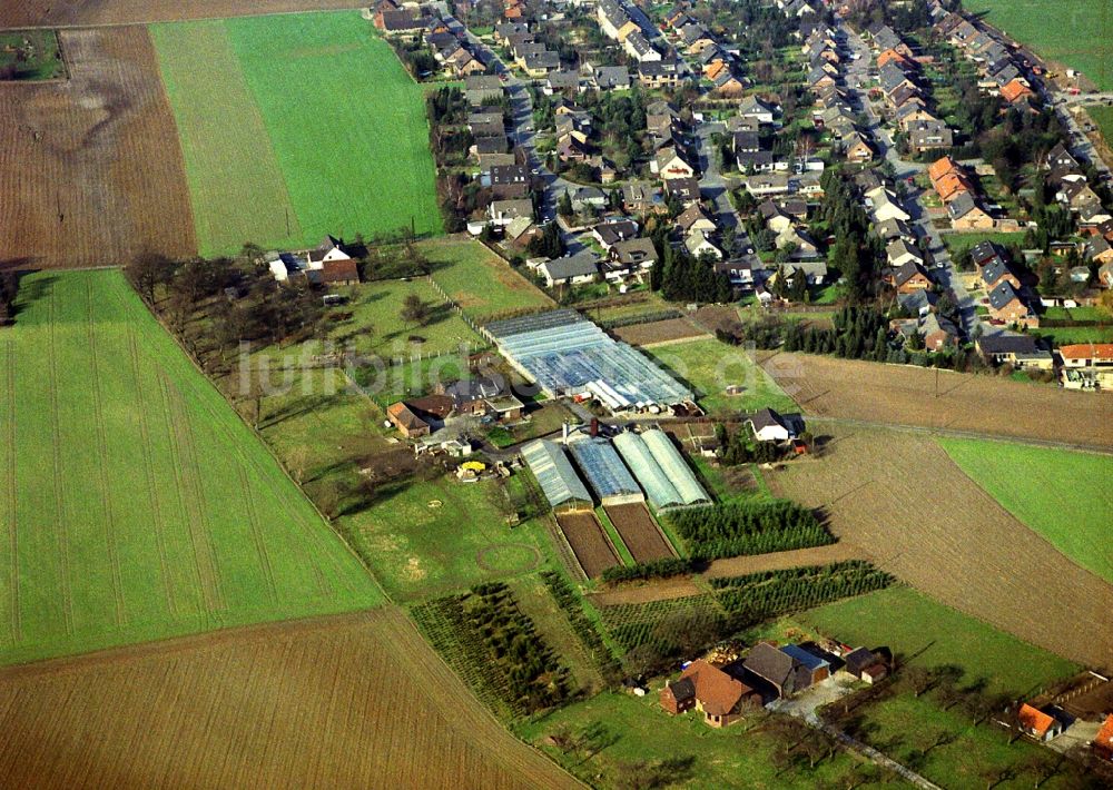 Alpsray aus der Vogelperspektive: Dorf - Ansicht von Alpsray im Bundesland Nordrhein-Westfalen