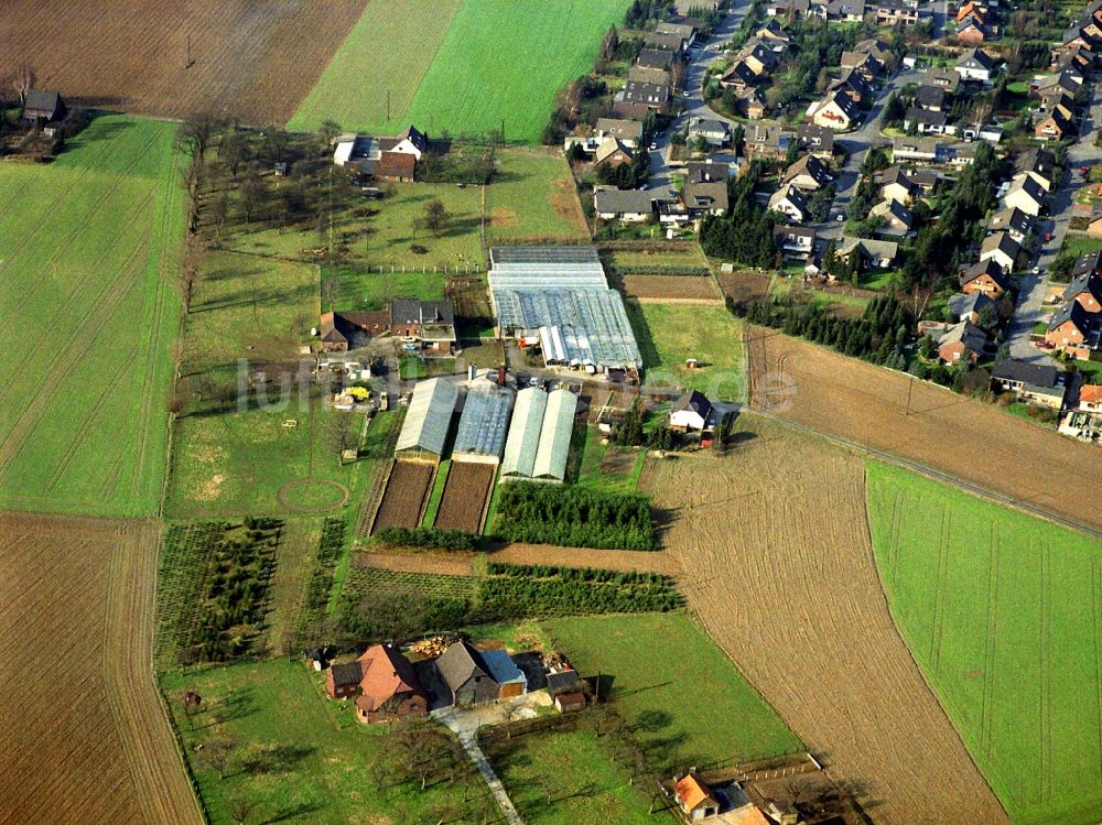 Luftbild Alpsray - Dorf - Ansicht von Alpsray im Bundesland Nordrhein-Westfalen