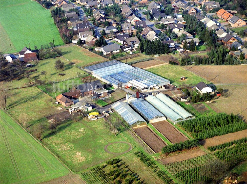 Alpsray aus der Vogelperspektive: Dorf - Ansicht von Alpsray im Bundesland Nordrhein-Westfalen