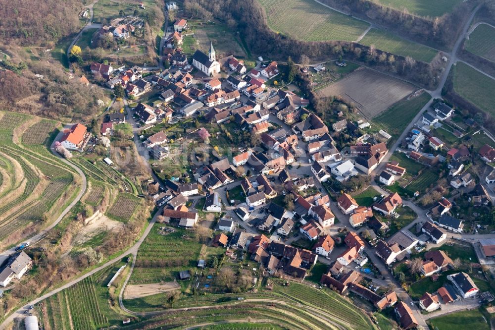 Luftaufnahme Amoltern - Dorf - Ansicht in Amoltern im Bundesland Baden-Württemberg, Deutschland