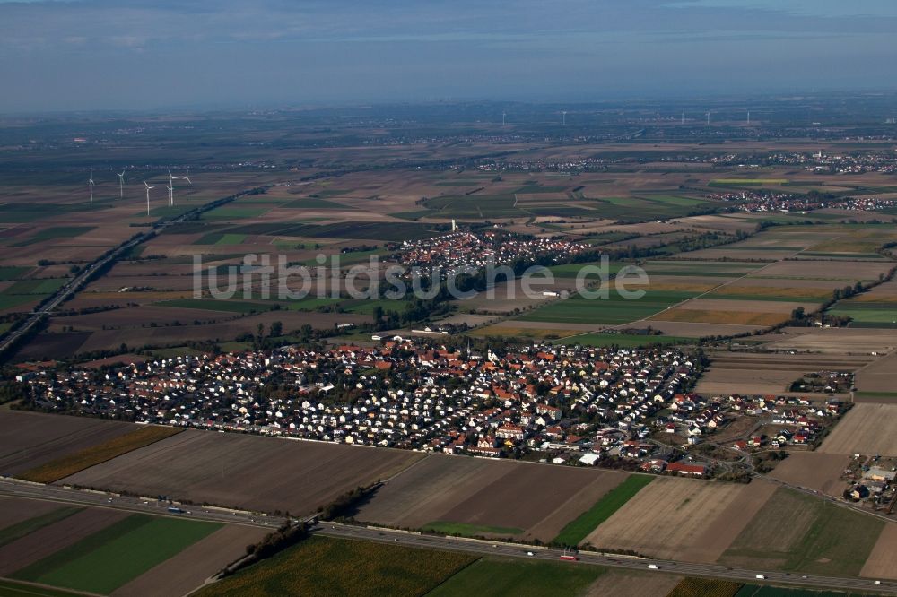 Beindersheim von oben - Dorf - Ansicht in Beindersheim im Bundesland Rheinland-Pfalz