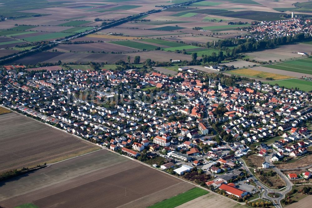 Beindersheim aus der Vogelperspektive: Dorf - Ansicht in Beindersheim im Bundesland Rheinland-Pfalz