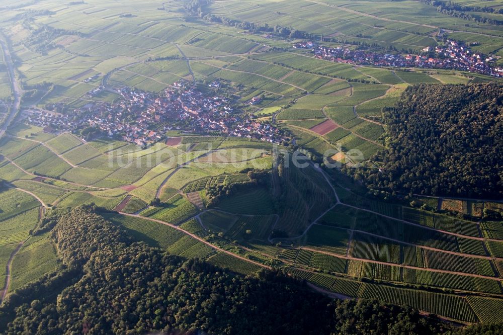 Birkweiler von oben - Dorf - Ansicht von Birkweiler im Bundesland Rheinland-Pfalz