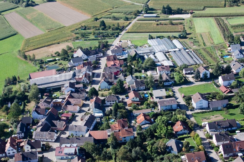 Luftaufnahme Bodersweier - Dorf - Ansicht in Bodersweier im Bundesland Baden-Württemberg