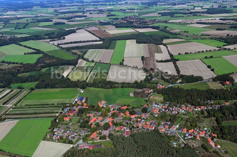 Luftaufnahme Bollensen - Dorf - Ansicht in Bollensen im Bundesland Niedersachsen, Deutschland