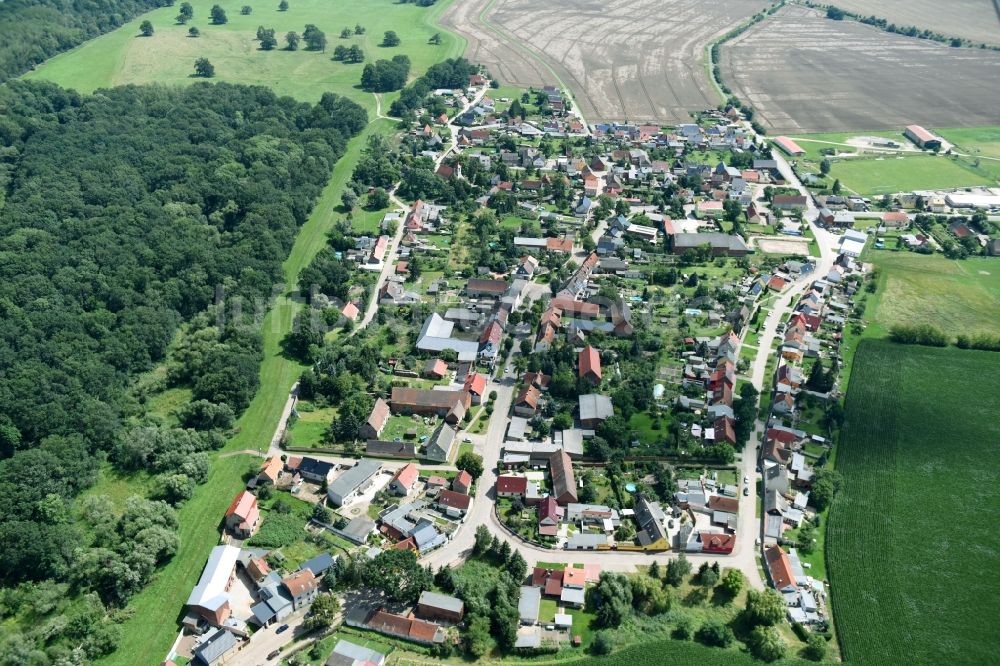 Breitenhagen aus der Vogelperspektive: Dorf - Ansicht in Breitenhagen im Bundesland Sachsen-Anhalt, Deutschland