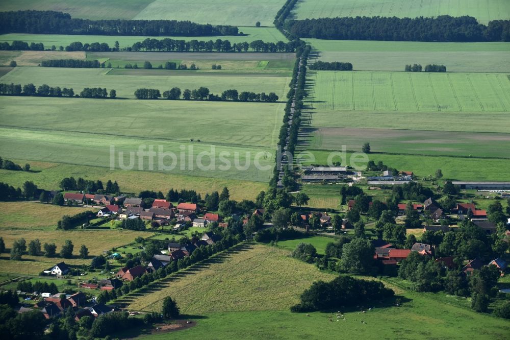 Bresegard bei Eldena aus der Vogelperspektive: Dorf - Ansicht von Bresegard bei Eldena im Bundesland Mecklenburg-Vorpommern