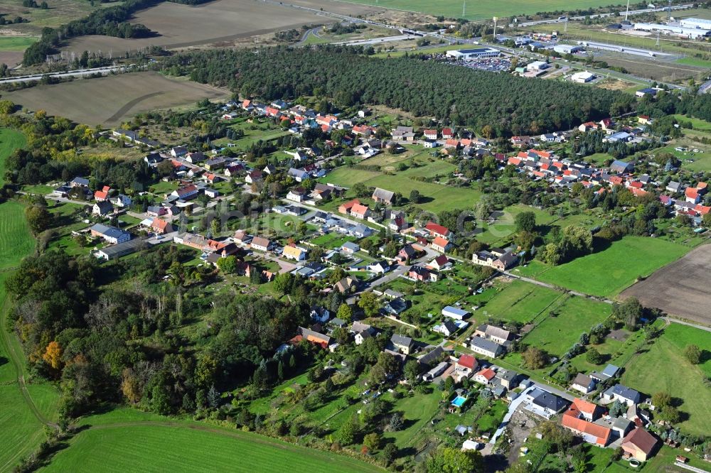 Buro aus der Vogelperspektive: Dorf - Ansicht in Buro im Bundesland Sachsen-Anhalt, Deutschland