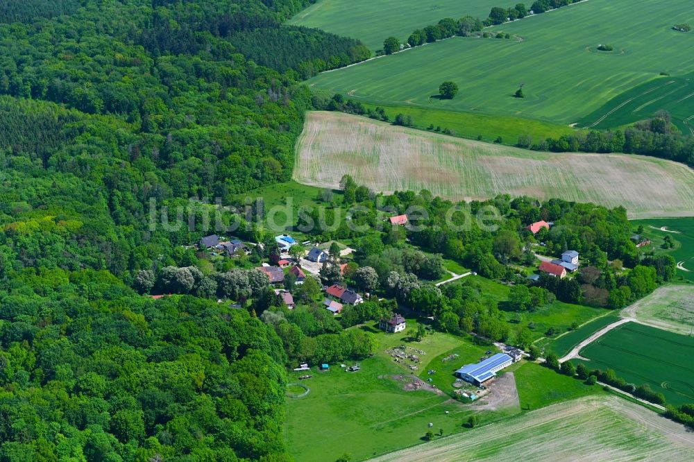 Luftaufnahme Carlshof - Dorf - Ansicht in Carlshof im Bundesland Mecklenburg-Vorpommern, Deutschland