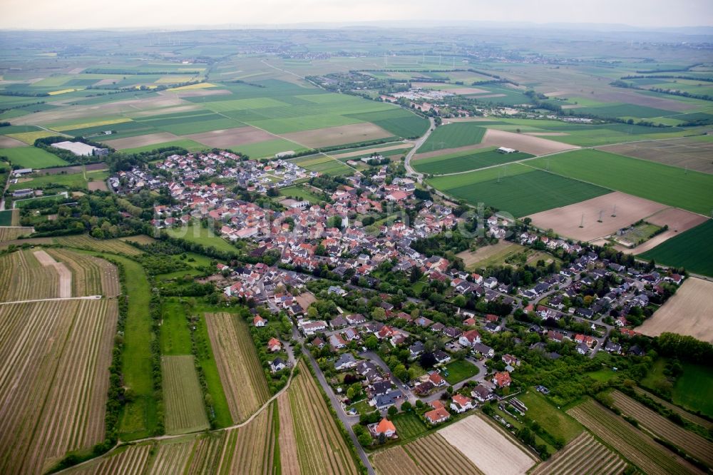 Dexheim von oben - Dorf - Ansicht in Dexheim im Bundesland Rheinland-Pfalz