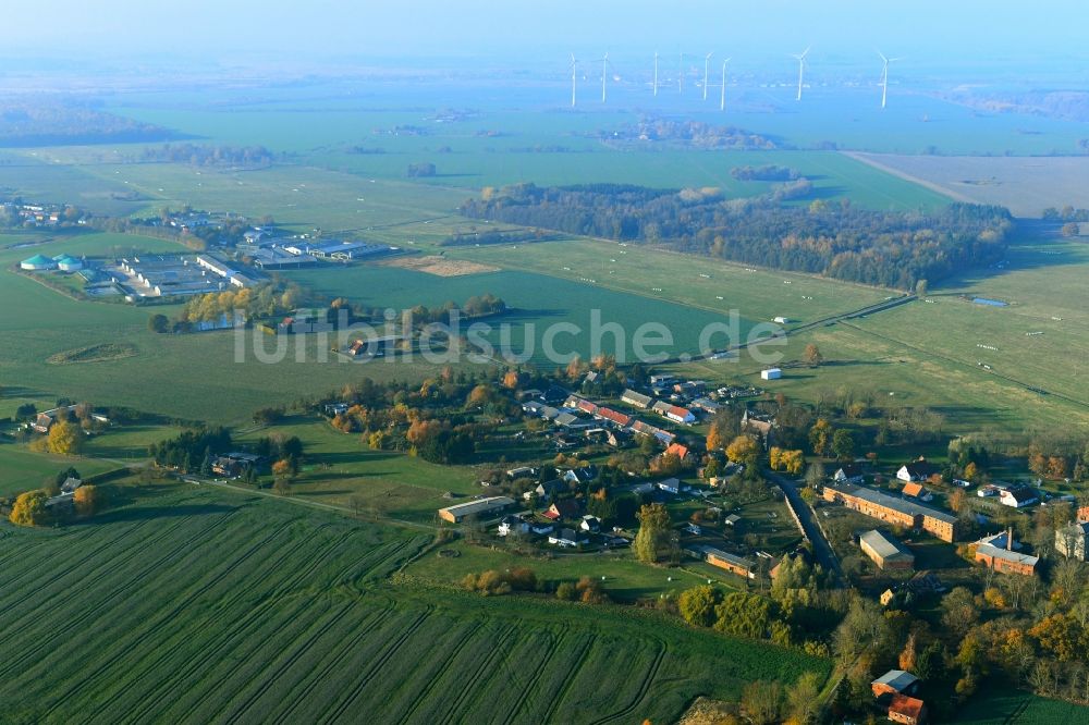 Deyelsdorf aus der Vogelperspektive: Dorf - Ansicht in Deyelsdorf im Bundesland Mecklenburg-Vorpommern, Deutschland